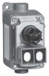 Push Button And Pilot Light Station, 600Vac