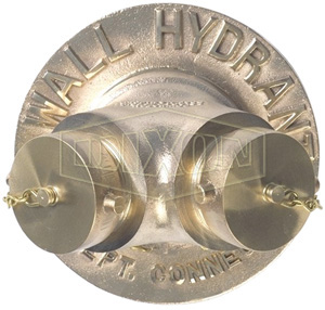 Exposed Wall Hydrant, 2-Way, Wall Hydrant Branding, 4 FNPT Inlet