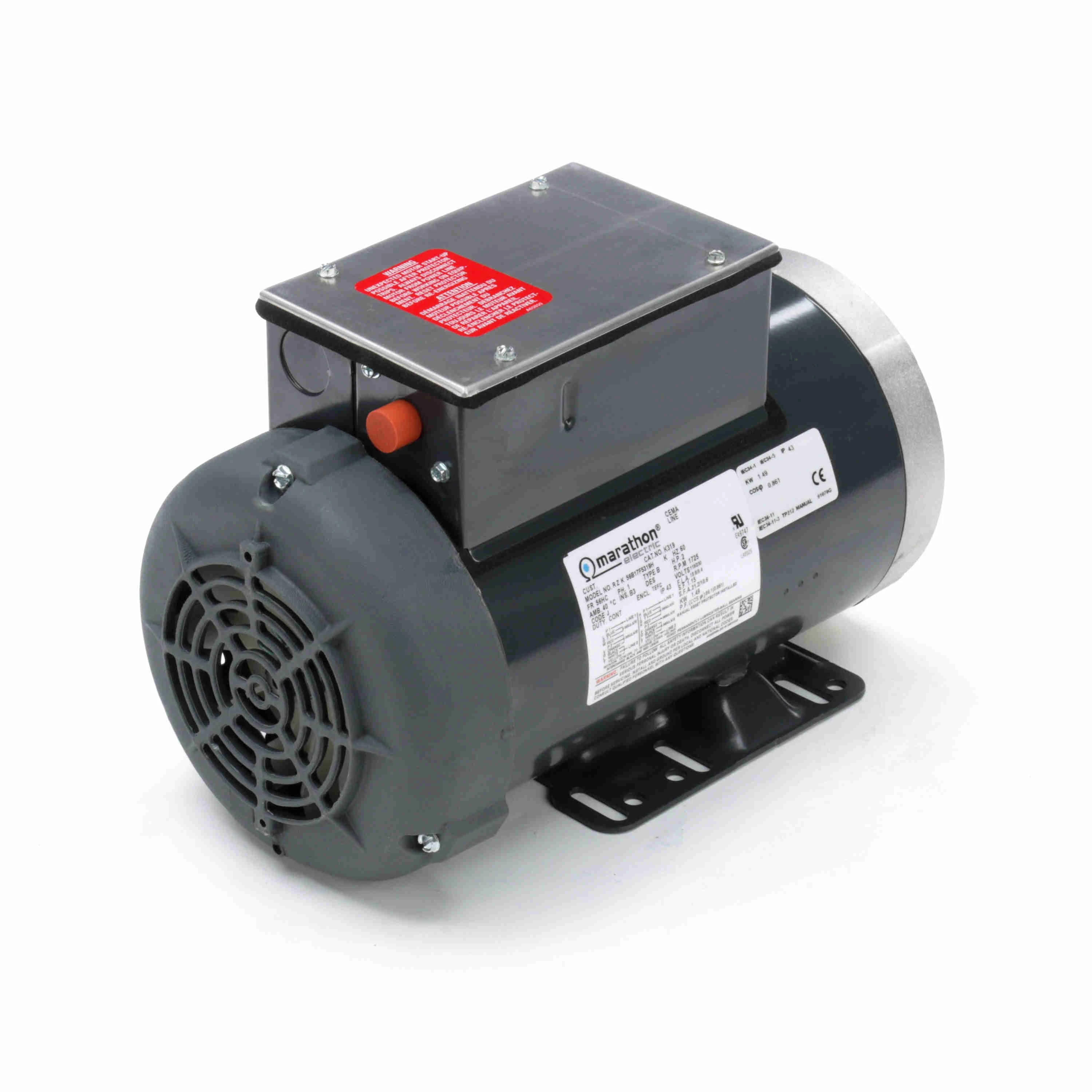 LEESON Pressure Washer Motors