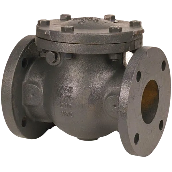 Check Valve, 12 Inch Size, Flanged, Cast Iron, Swing, Non-Manual
