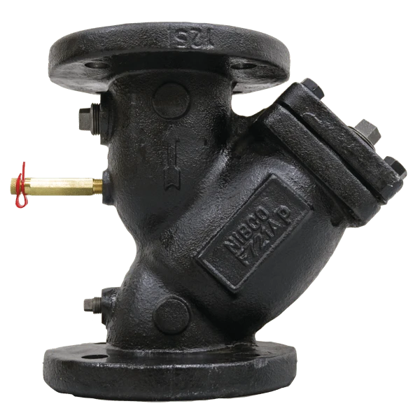 Balancing Strainer, Flanged, 2-1/2 Inch Size, Cast Iron